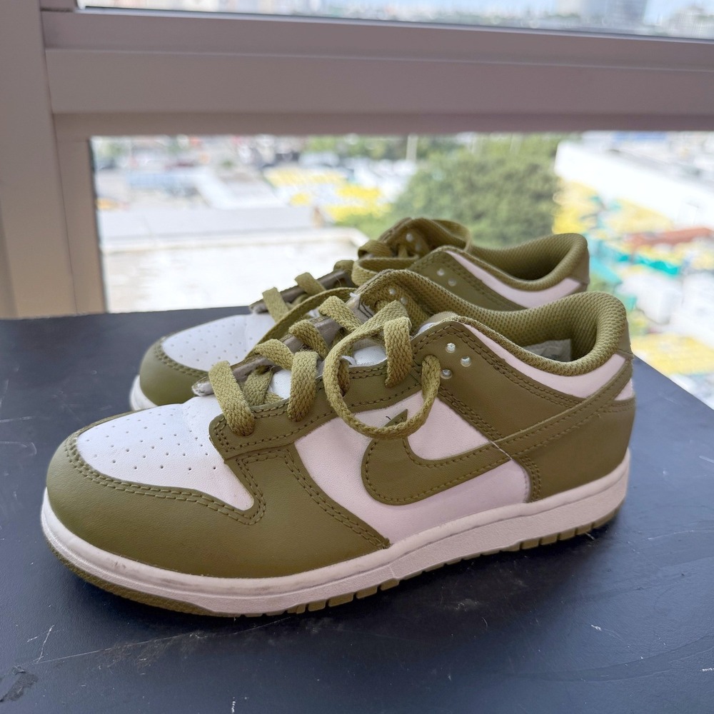 Nike Dunk Low Pacific Moss Oil Green Kids 3Y Sneakers FB9108-108 New No Insoles